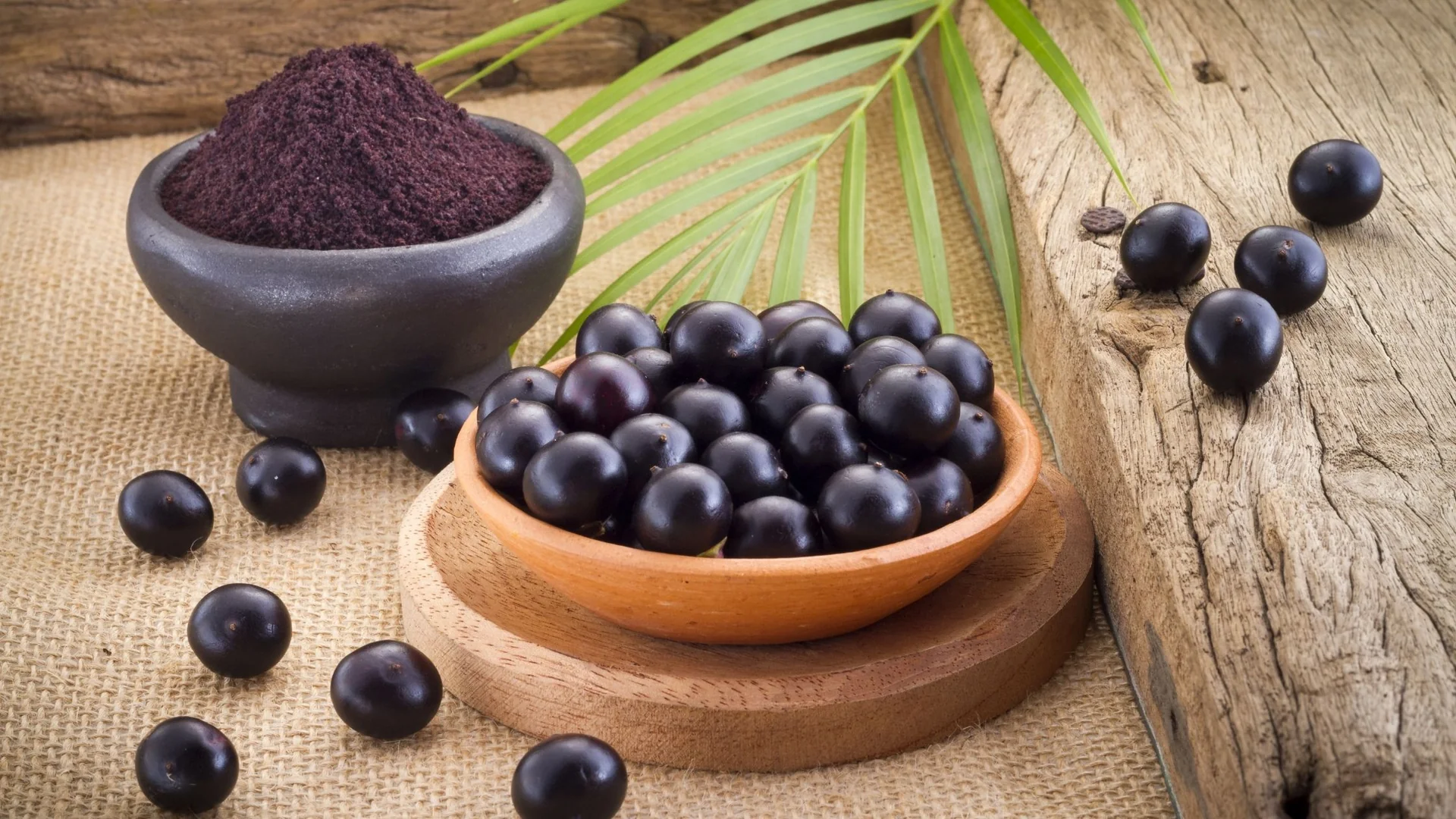 NeuroXen Ingredient
