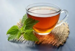NeuroXen Ingredient